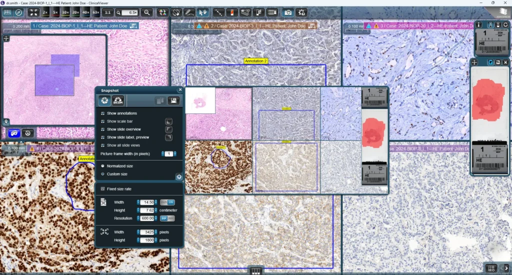 2-ClinicalViewer-1024x550