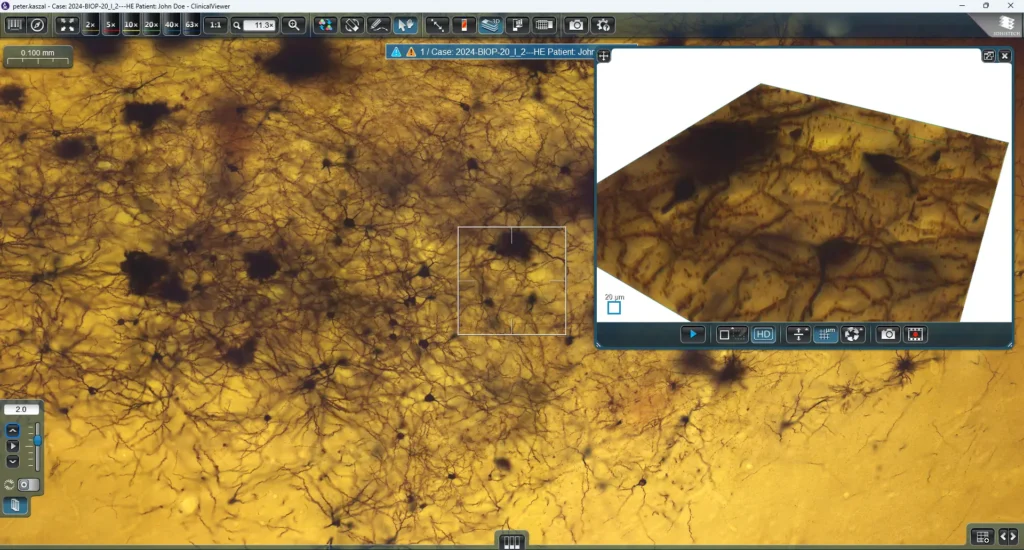 3-ClinicalViewer-1024x550