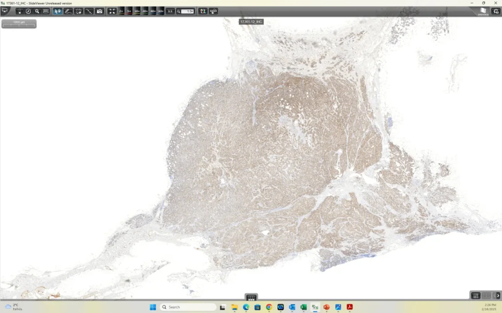 Slide4-1024x640