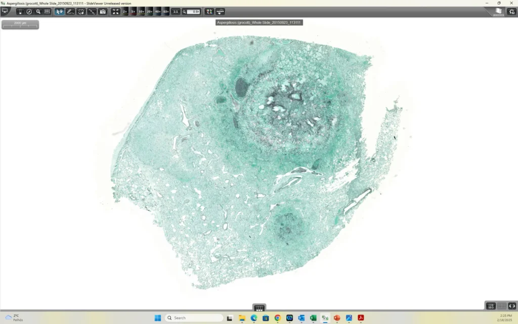 Slide6-1024x640