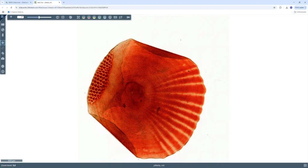 WebViewer-2-1024x560