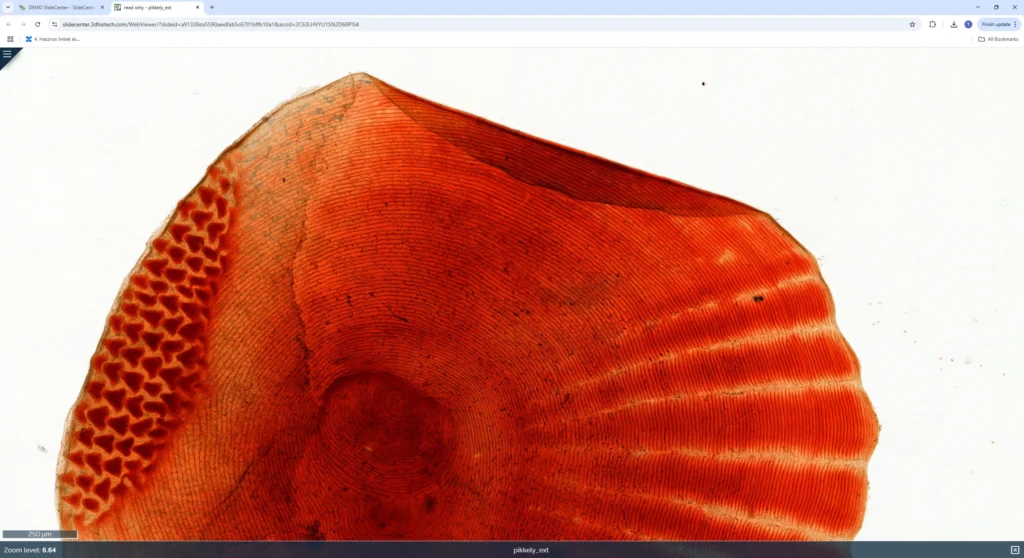 WebViewer-3-1024x558