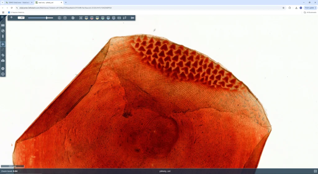 WebViewer-4-1024x561