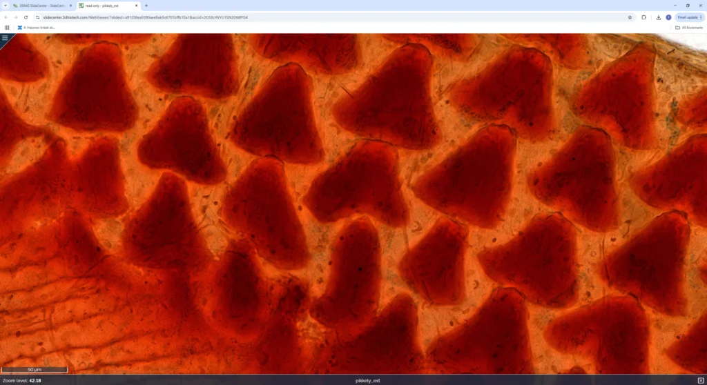 WebViewer-5-1024x558