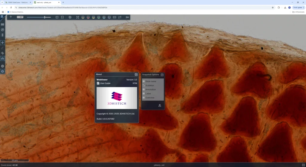 WebViewer-6-1024x558